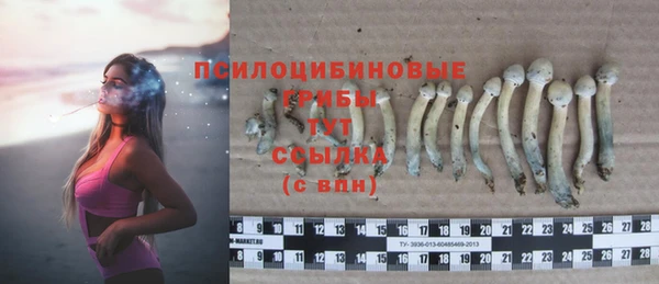 эйфоретик Приозерск