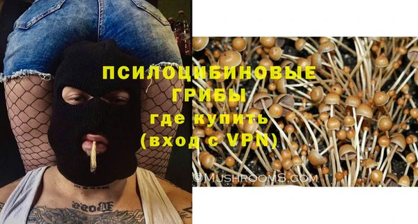 соль ск Протвино