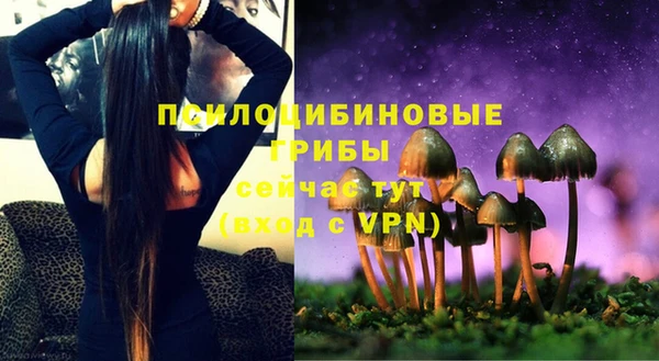 MESCALINE Алзамай
