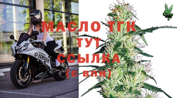 гидра Алексин